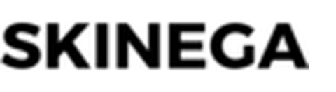 Skinega logo