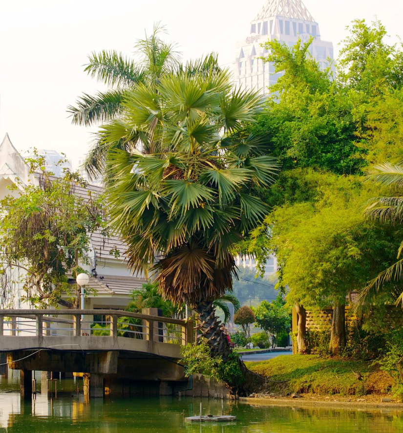 Thai Massage Bangkok