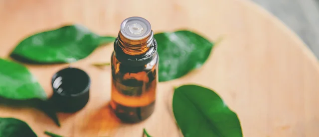 Monk Fruit Tea in Pregnancy: A Spa-Visit Safety Guide