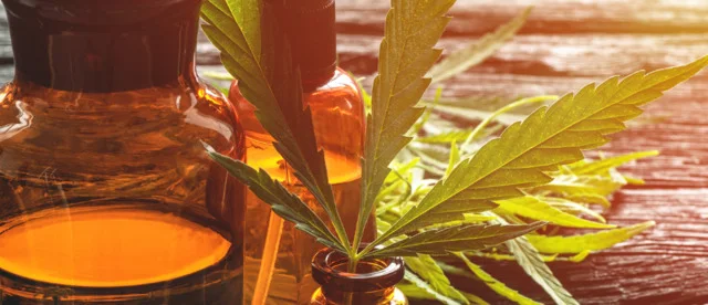 Natural Spa Ingredients: A Label-First Guide to CBD, Oils and Minerals