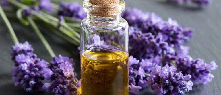 Lavender Oil Massage Bangkok: Product, Process and Safety