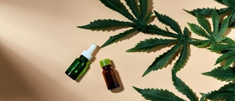 Siamese Cannabis Aroma Bangkok: What the Ritual Includes