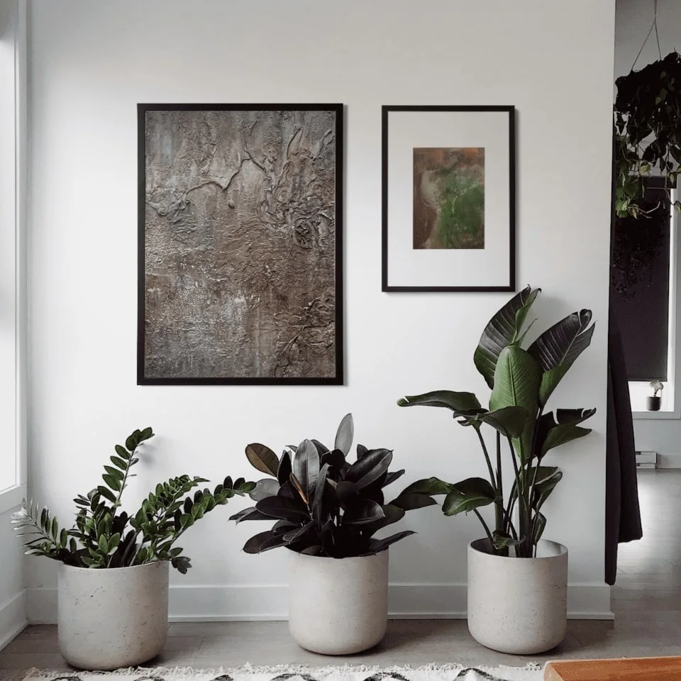 Two archived Nisakorn works displayed with indoor plants in a gallery-style interior