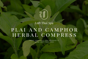 Plai & Camphor Herbal Compress
