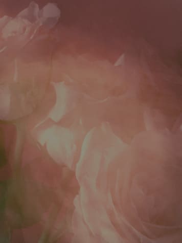 Hydrosense Aroma