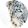 clint image