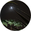 clint image