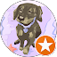 clint image