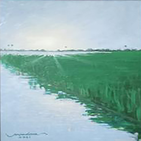 Gallery Images