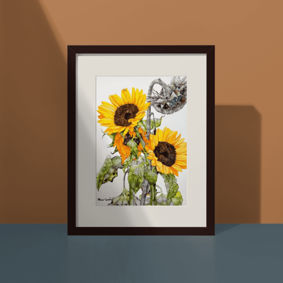 Gallery Images